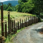 agroforestal_1