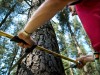 agroforestal_2