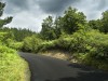 agroforestal_3