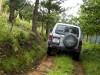 aialur203