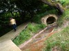 medioambiental_1